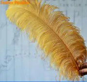 Gold Ostrich Feathers 6-24inches Wedding Centerpiece Feather Craft Feather 12 pc