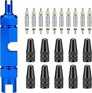 Presta Valve Core Bike Kit - 21 Pieces, Stem Removal Tool, Brass Valve Cores and Stem Caps