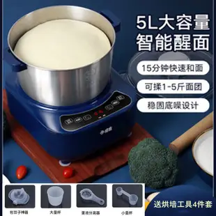 和麵機家用揉麵機小型全自動不鏽鋼廚師機麵粉發酵醒面活面攪面機110v美规台湾可用