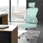 Mesh Office Chair Ergonomic High Back Waist Support Desk Chair Armrest Adjustabl