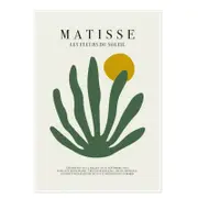 Galrie Matisse's Les Fleurs du Soleil Stunning - Elegant Botanical Art Print Home Decor, Poster Only, 70 x 100cm (28 x 40inch)