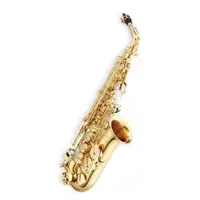 在飛比找蝦皮購物優惠-【育樂社】中音薩克斯風 Alto Sax 雙燕 Jupite