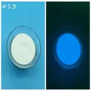 Phosphorescent Glow in the Dark Pigment Neon Nights Luminous Color Paint Powder