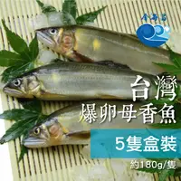 在飛比找樂天市場購物網優惠-台灣宜蘭爆卵母香魚( 5p-180g/隻、6p-150g/隻