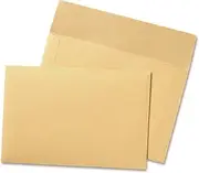 QUA89606 - Quality Park Filing Envelopes