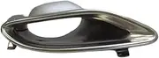 Car Exhaust Tip Decoration Compatible For Benz W176 W166 W246 W205 W213 W212 X205 Exhaust tip Tail tip(Silver Right)
