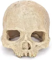 AIMALL Artificial Fake Skull Head Bone Aquarium Ornament Fish Tank Decoration, Safe for All Aquatic Environments, Realistic Design for Reptile Terrariums