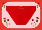 M Red Lipstick Dot Mesh Gold Bow Stretch Cotton Victoria's Secret BIKINI Panty