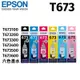 EPSON T673原廠墨水組合包 (1黑5彩)