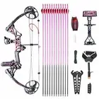 19-70lbs Archery Compound Bow Arrows Set Hunting Target Right Handed Stabilizer