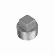 WARD MANUFACTURING 2D.BP 2.5" C.I. PLUG 2.5" NPT Fitting