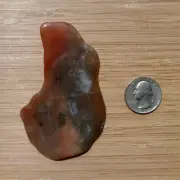 Polished Rock Slice Agate Crystal Natural Pink and Gray Mineral Inclusions 3.5"