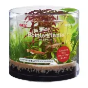 GEX Gex Healing Waterscape Bottle Plants Rotala 902
