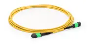 5M MTP Female to Female 12 Fibers OS2 9/125 Single Mode Trunk Cable,Type B -8435