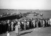 1946 Grand National The second time round at Becher's Brook Old Photo