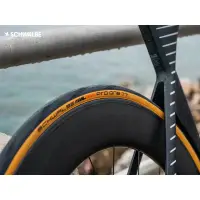 在飛比找蝦皮購物優惠-【風逸單車】Schwalbe Pro One TT 計時賽/