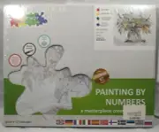 Paint by Numbers Kit 16"X20" Framed Canvas With Paints And Brushes Premium Kit