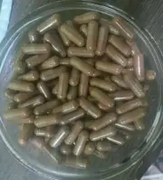 Grape Seed Extract 95% OPC Pure & high quality capsules