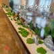 新中式桌面擺件 居室玄關仿真植物盆景假山石擺件 (8.3折)