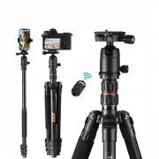 81” DSLR Camera Tripod with 360℃ Panorama Ball Head Monopod for Travel Shooting