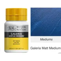 在飛比找蝦皮購物優惠-WINSOR&NEWTON GALERIA Matt Med