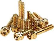 PHGTHNVNMA Motorcycle 304 Stainless Steel Screw Hollow Flange Head Outer Hexagon Ti Screws Ti Fastener M8x20/25/35/40/45/50/55mm Automotive Nuts and Bolts(M8x20mm)