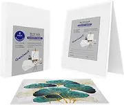 Genixart Canvas Panels for Painting, 100% Cotton, Professional Artist Quality Acid Free Primed Canvas Boards for Oil & Acrylic Painting. (20x25cm / 8"x10" -6pcs)