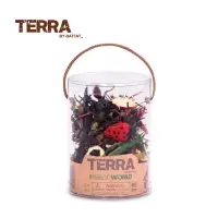 在飛比找博客來優惠-【TERRA】60入模型組 昆蟲