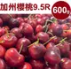 【甜露露】 加州櫻桃9.5R 1盒(600g±10%/盒) ,預計5月7-5月9日出貨