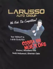 CHAMPION x Cobra Kai Larusso Mens T Shirt Small Karate Kid Retro 80s Daniel-san