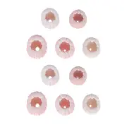 10Pcs Sea Urchin Decor Hanging Sea Urchin Shell Ocean Beach Sea Shell