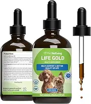 Life Gold for Dogs & Cats - Supports Detoxification, Immune System Health, Antioxidants - Vet-Formulated Herbal Supplement – 4 oz (118 ml)