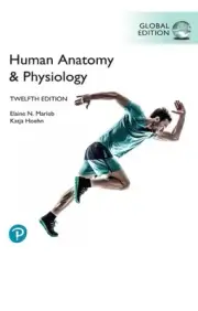 Human Anatomy and Physiology 12th Edition by Marieb GLOBAL EDITION Ed Textbook