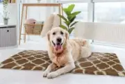 DOG BED ,VAN NESS PETS VETBED , CRATE MAT, CAT PAD , NON-SLIP , MACHINE WASHABLE