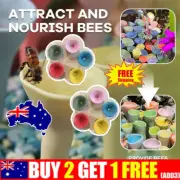 Bee Insect Drinking Cup, Thirsty Pollinators Need Safe Places to Drink, Bee CuKP