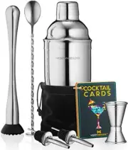Mixology Cocktail Shaker Set Drink Mixer 8-Piece Portable Bartender Kit with ...