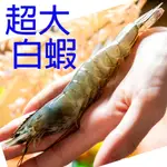 【集鱻屋】極鮮凍女王大白蝦(規格26/30，一盒約14±2隻)單盒 烤肉/露營/蝦子~全賣場任選滿2000元免運費