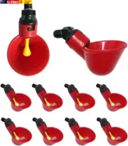10 Pcs Automatic Cups Water Feeder Drinker Chicken Waterer Poultry Chook Bird -
