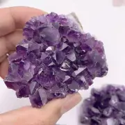 60-80g Natural Amethyst Quartz Cluster Geode Crystal Druzy Specimen Reiki Stone