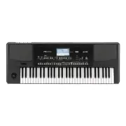 Korg PA300 61-Key Professional Arranger Keyboard genuine Brand New