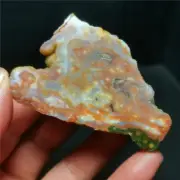 Rare 61G Natural Polished Orbicular Ocean Jasper Sphere Rough Healing R778