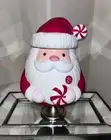 1-NWT PEPPERMINT AND PINE SANTA CLAUS CANDY CANE COOKIE JAR/CANISTER