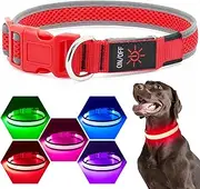 HiGuard LED Dog Collar, USB Rechargeable Glowing Pet Collar Night Safety LED Light Up with Nylon Webbing Perfect for Small, Medium, Large Dogs (Small Collar[8"-14" inch / 20.3-35.5cm], Ruby Red)