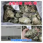 【海鮮7-11】全殼生蠔美國 -單顆販售  60粒/箱  *手掌心般大哦！**每粒90元**