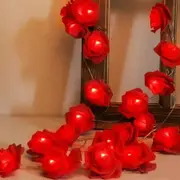 6M 40 LED Rose Lights Valentine Garland with Lights Battery Operated, Red Rose Flower String Lights, Valentines Day Decorations
