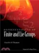 Representations Of Finite And Lie Groups