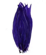 40 Pcs ROOSTER COQUE Feathers 6-10 Inches - PURPLE (Costume/Halloween/Craft)