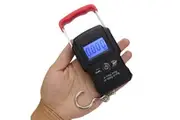 Ape Basics 50Kg/5g Portable LCD Digital Electronic Hanging Mini Weighing Scale