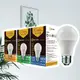 【BLTC麗光】凍固系列 12.2W LED燈泡 五年保固 密閉燈具適用 節能標章 超高光效 (7.9折)