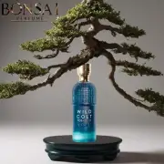 Wild Colt Tobacco by Assaf Perfumes | 200ml EDP Spray | Long-Lasting perfume